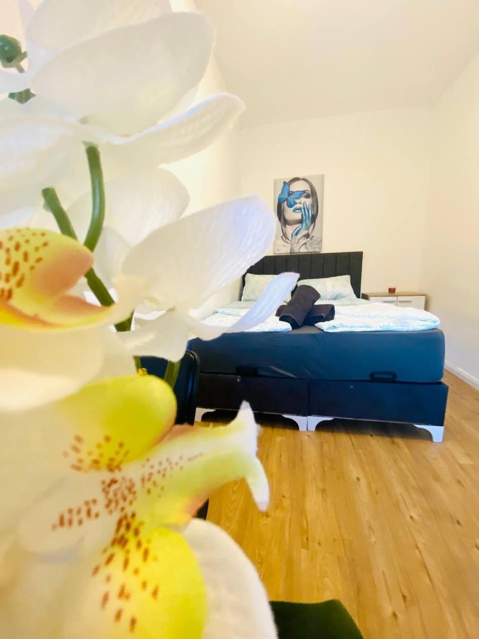 Comfort In Floridsdorf Area Sd Wien