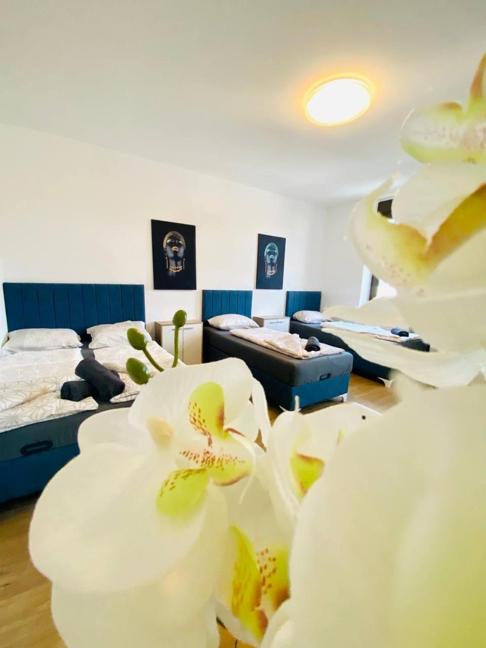 Privatunterkunft Comfort In Floridsdorf Area Sd *