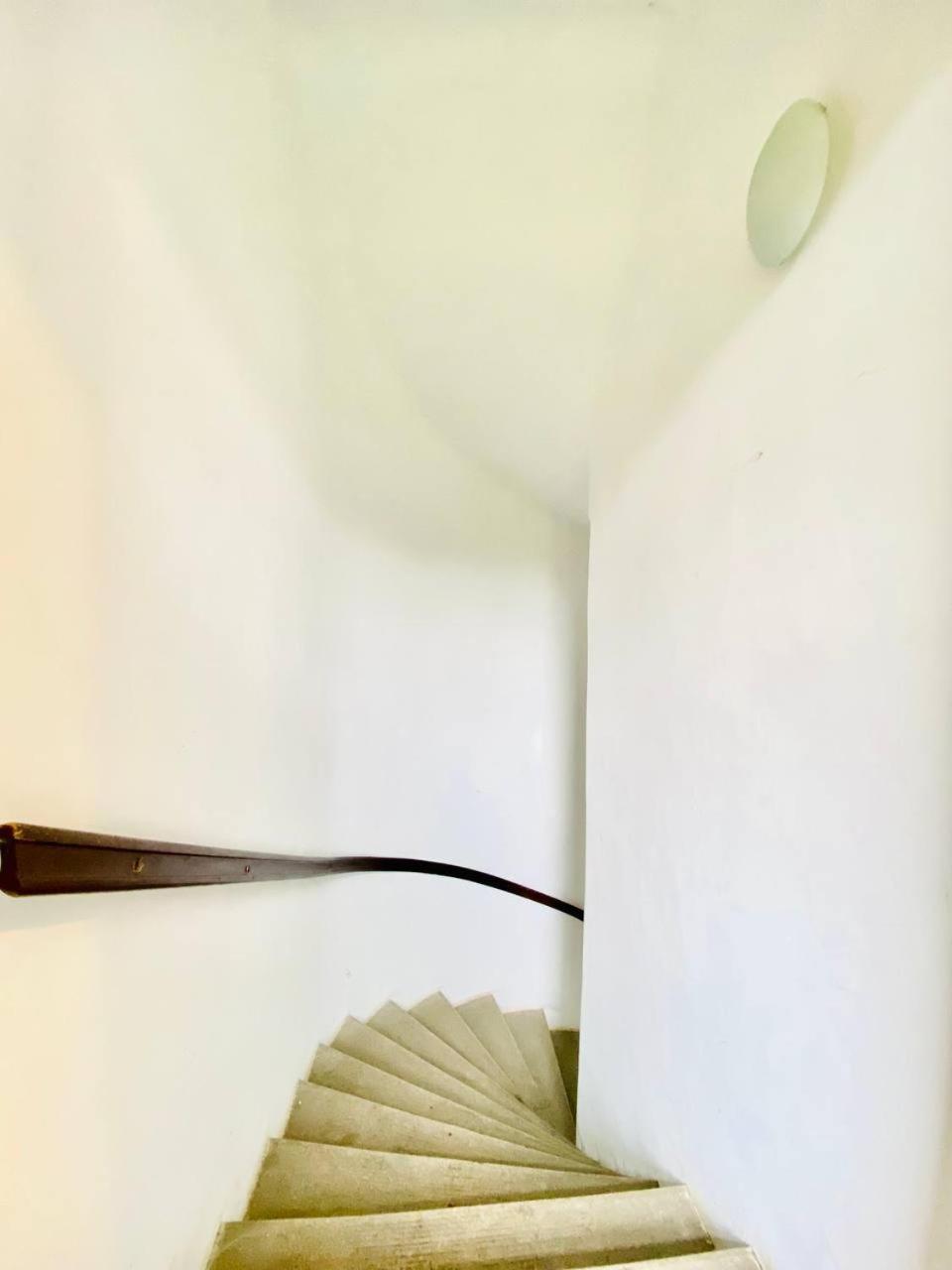Privatunterkunft Comfort In Floridsdorf Area Sd *