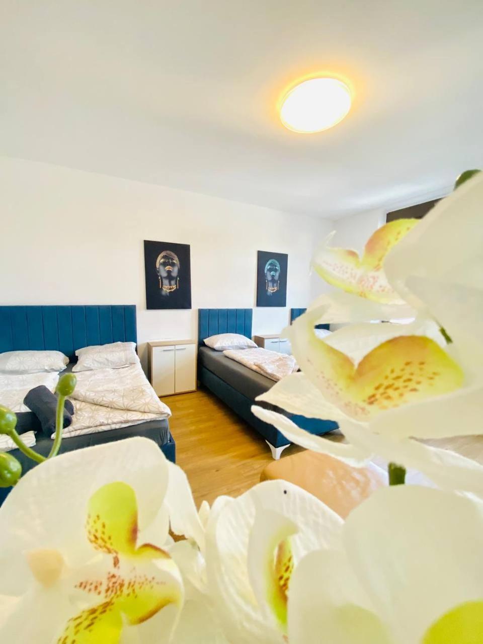 Comfort In Floridsdorf Area Sd *