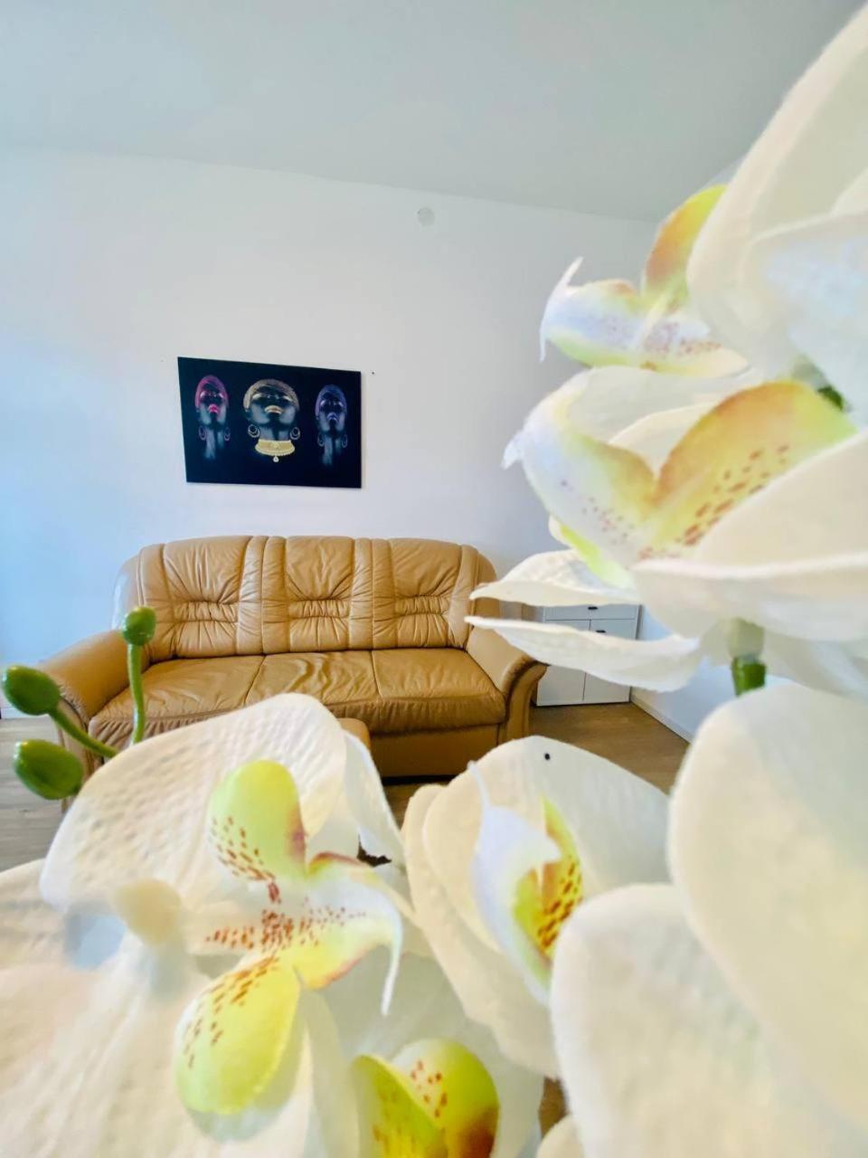 Privatunterkunft Comfort In Floridsdorf Area Sd *