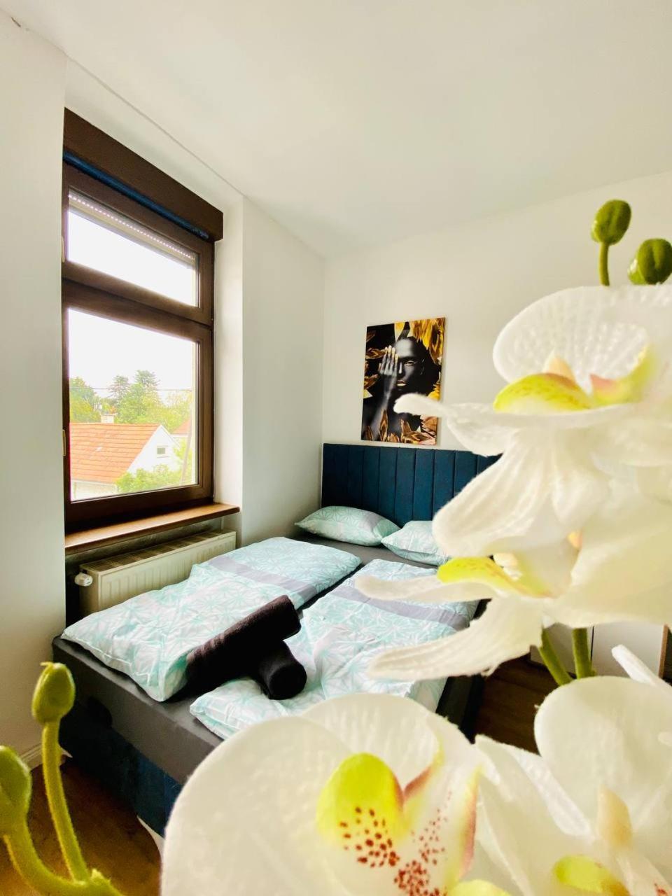 Comfort In Floridsdorf Area Sd Privatunterkunft