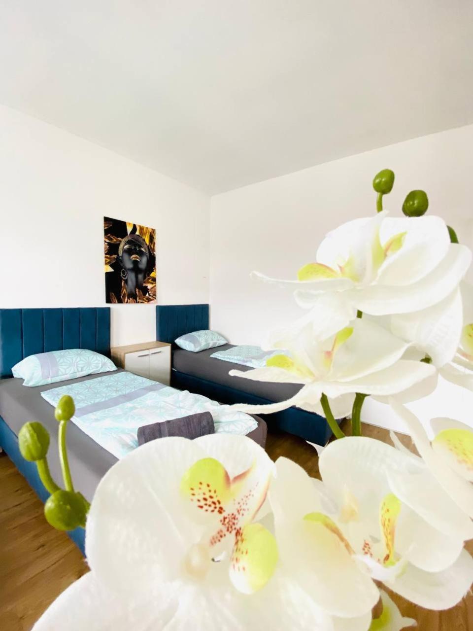 Privatunterkunft Comfort In Floridsdorf Area Sd
