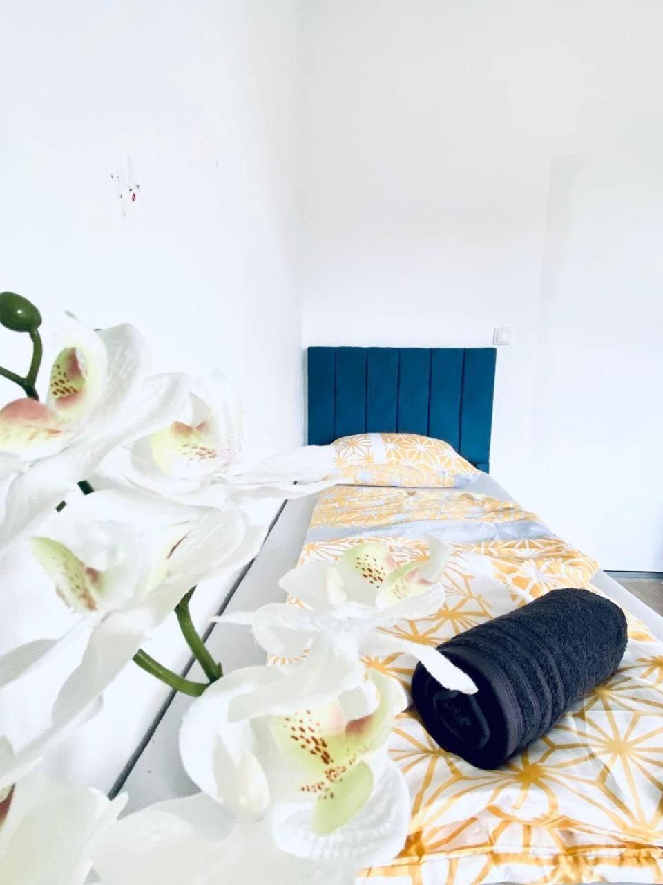 Comfort In Floridsdorf Area Sd Privatunterkunft Wien