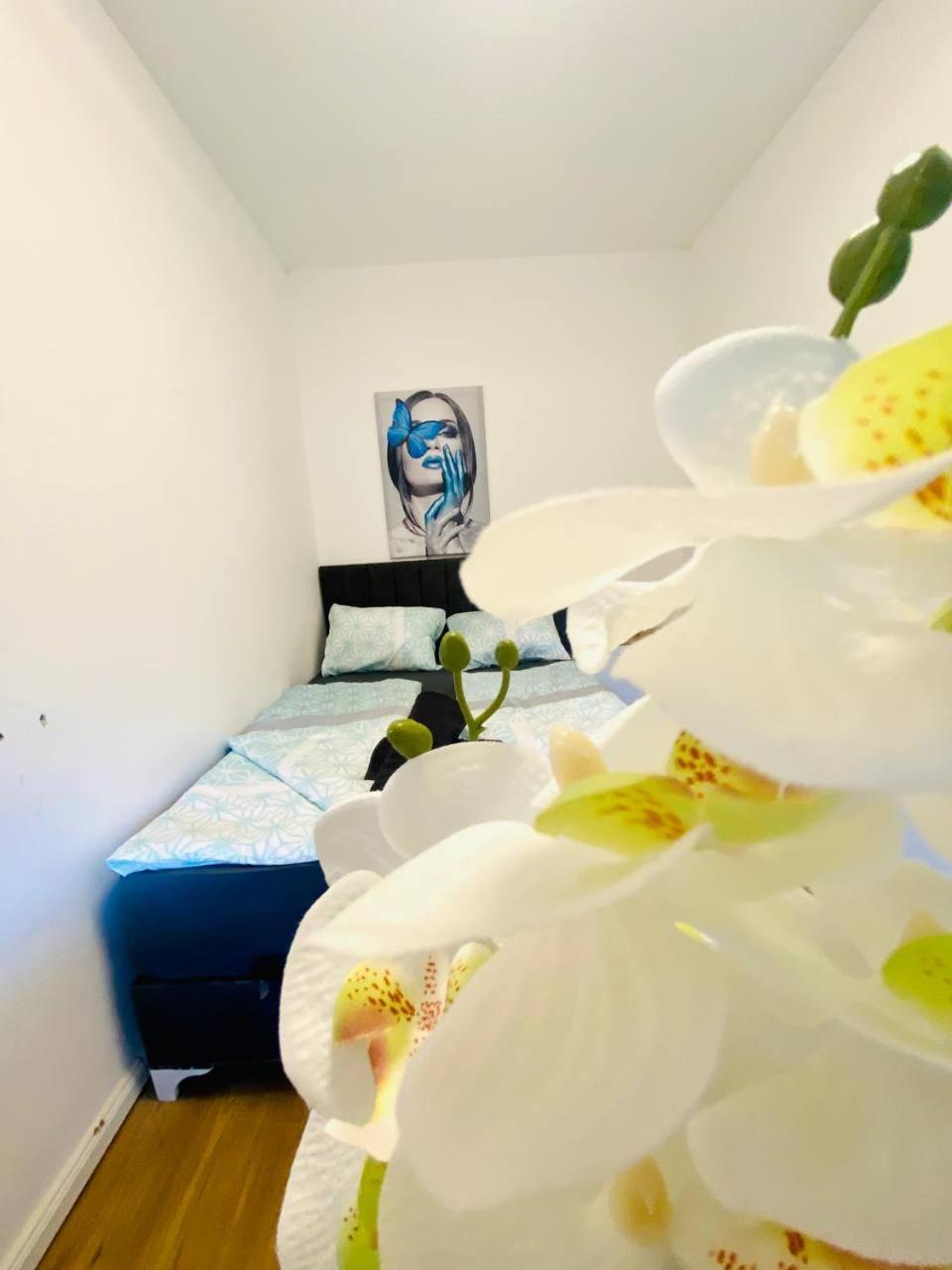 Privatunterkunft Comfort In Floridsdorf Area Sd Wien