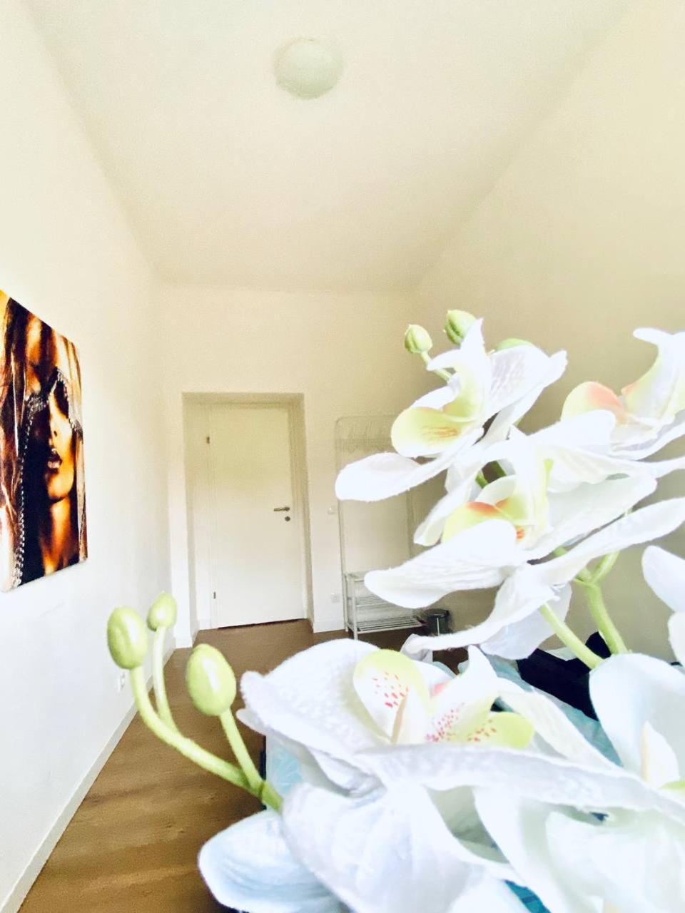 Privatunterkunft Comfort In Floridsdorf Area Sd