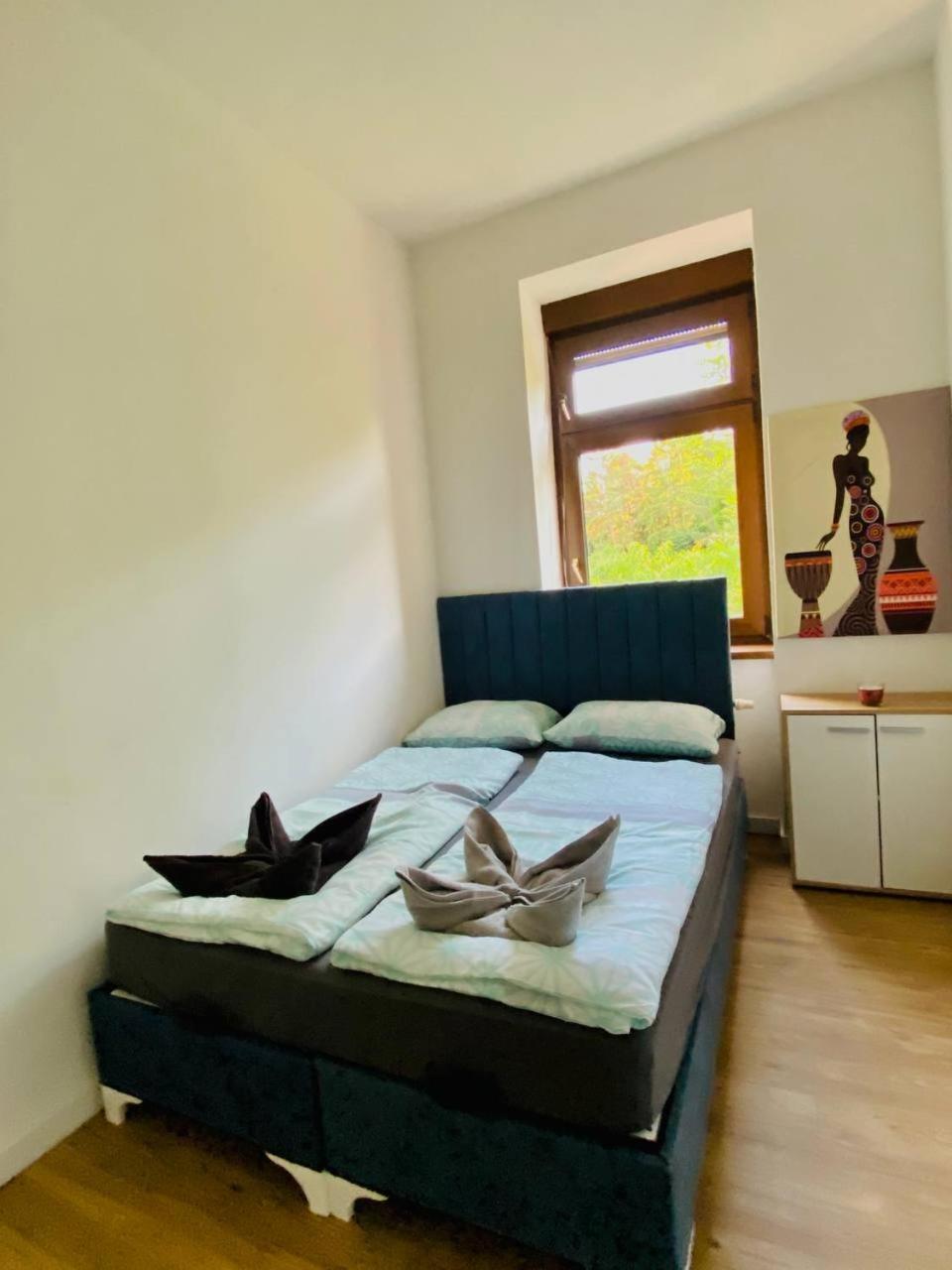 Comfort In Floridsdorf Area Sd Privatunterkunft *