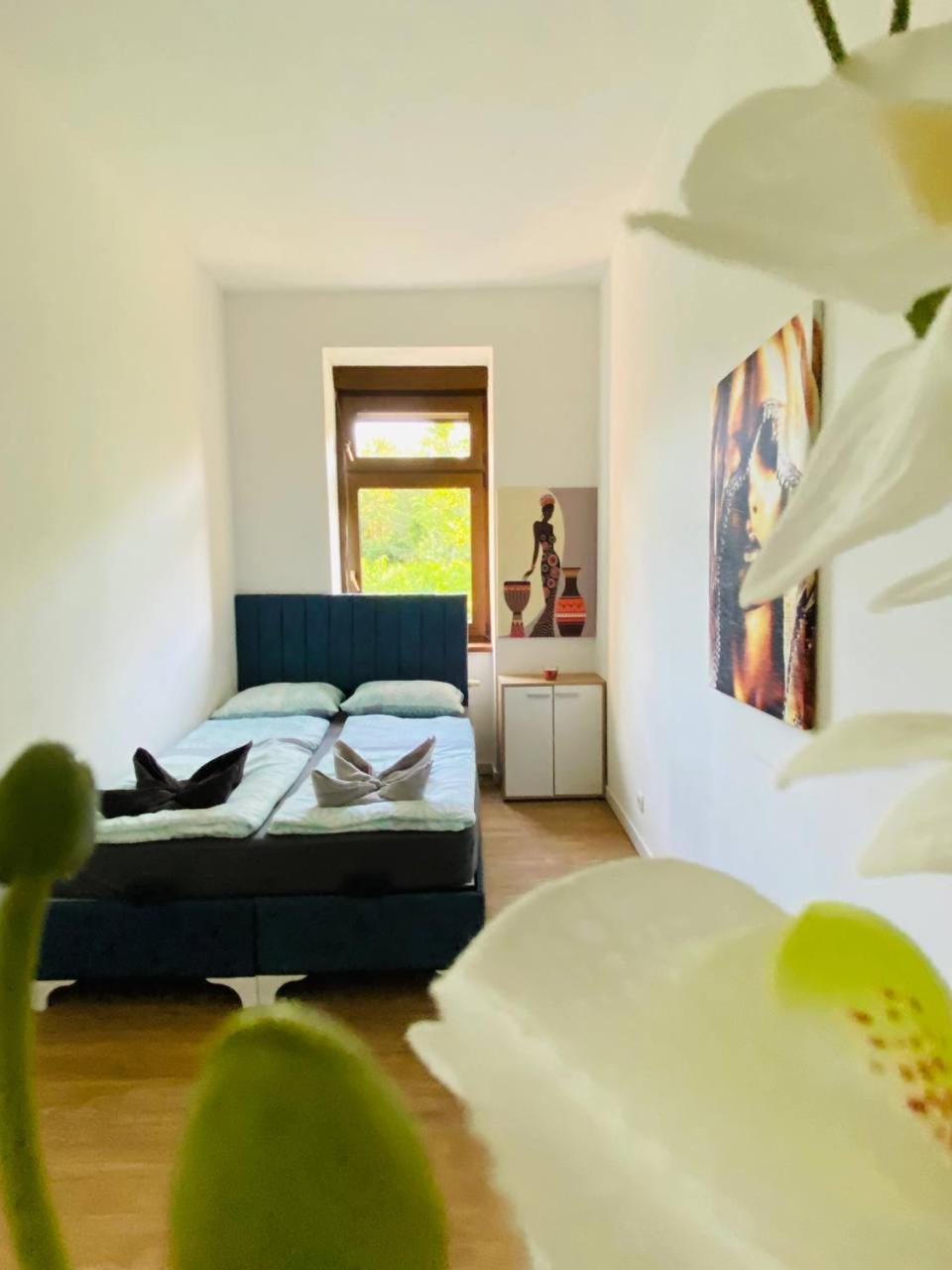 Privatunterkunft Comfort In Floridsdorf Area Sd