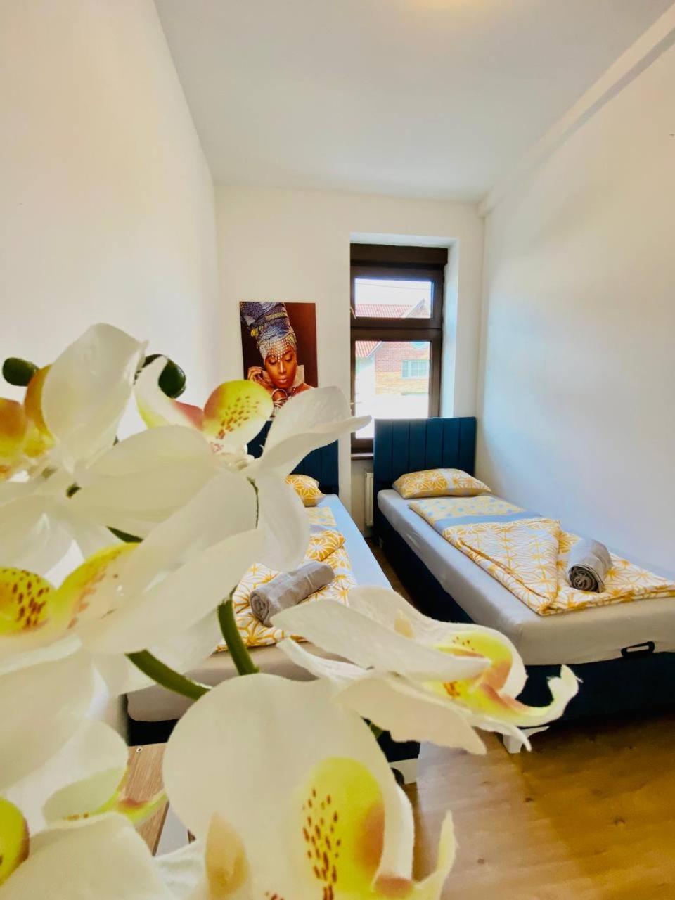 Comfort In Floridsdorf Area Sd Privatunterkunft