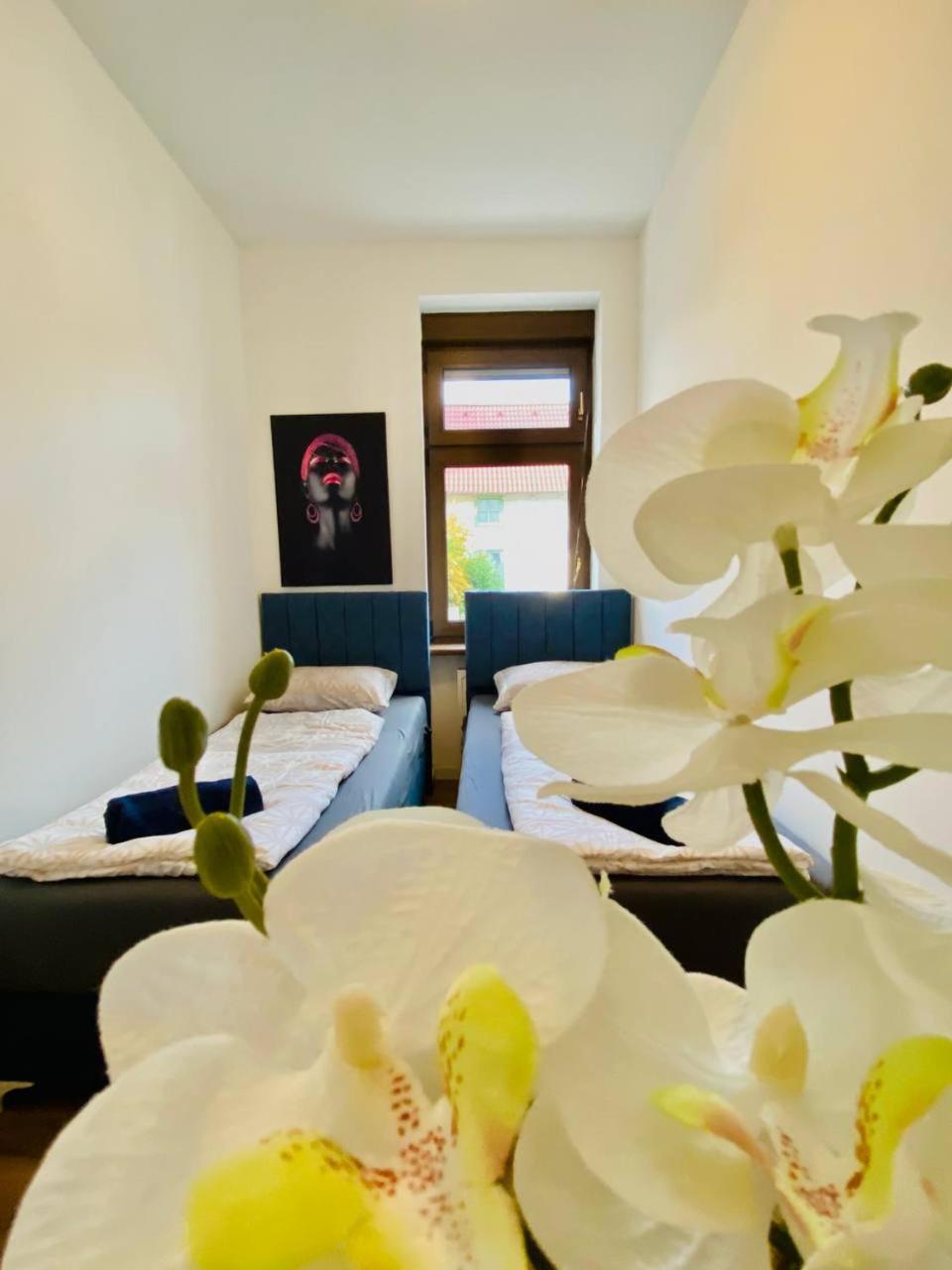 Privatunterkunft Comfort In Floridsdorf Area Sd *